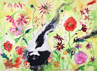 Skunk Fine Art Print