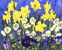 Fertile Rising Fine Art Print