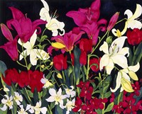 Luscious Lilies Fine Art Print