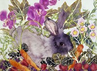 Rabbit with Carrots Framed Print