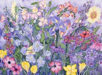 Soft Spring Fine Art Print