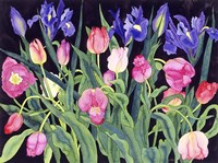Tulips And Irises Fine Art Print