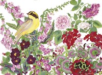 Warbler With Frog Framed Print