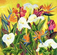 Beautiful Santa Barbara Fine Art Print