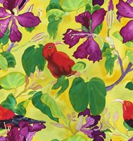 Kiwis in Orchid Tree Fine Art Print