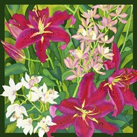 Lilly Love Fine Art Print
