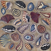 Sea Shells Fine Art Print