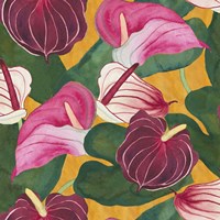 Heavenly Divine- Anthuriums Fine Art Print