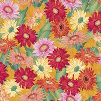 Heavenly Divine- Daisies Fine Art Print