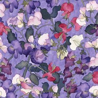 Sweet Peas Fine Art Print