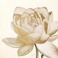 Vintage Lotus Cream II Fine Art Print