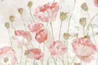 Poppies in the Wind Blush Landscape Fine Art Print