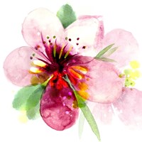 Floral Beauty I Fine Art Print