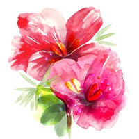 Floral Beauty II Fine Art Print