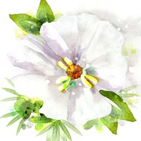 Floral Beauty III Fine Art Print