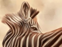 Zebra Looking Over Shoulder Fine Art Print
