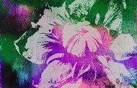 Color Pop Flower Fine Art Print