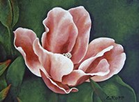 A One Day Show Fine Art Print