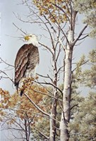 At Rest Fine Art Print