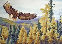Autumn Flight Fine Art Print