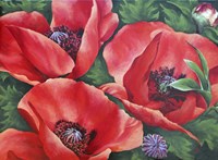 Bright Red Trio Fine Art Print