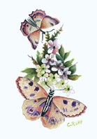 Butterfly in Pink Fine Art Print