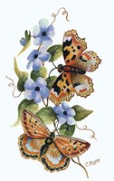 Butterfly on Blue Fine Art Print