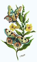 Butterfly on Yellow Floral Fine Art Print