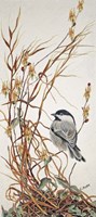 Chickadee in Summer Grass Fine Art Print