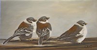 Chickadees on the Deck Fine Art Print