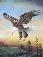 Dawn Flight Fine Art Print