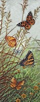 Golden Butterflies Fine Art Print