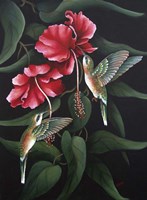 Hummingbird  Duet Fine Art Print