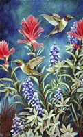 Hummingbirds in Mountain Foliage Fine Art Print