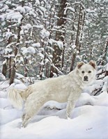 I Love Snow Fine Art Print