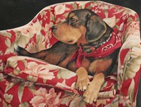 Just Hanging Out Fine Art Print