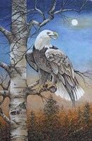 Moonlight Eagle Fine Art Print