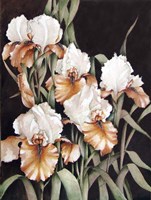 Mother's Garden Fine Art Print