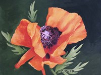 Red Poppy I Fine Art Print