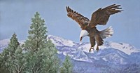 Soaring over Snowy Peaks Fine Art Print