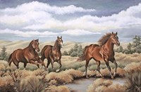 Spirit of the Southwest Fine Art Print