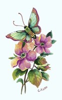 Teal Butterfly Fine Art Print