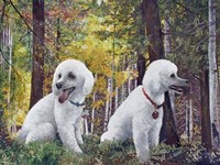 The Boys Fine Art Print