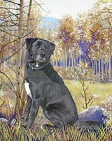 Waiting Fine Art Print