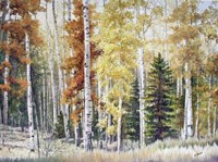 Angel Fire Aspens Fine Art Print