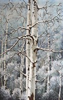 Aspen Duo Winter Fine Art Print