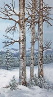 Aspen Trio Winter Fine Art Print