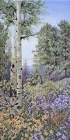 Aspen with Asters Fine Art Print