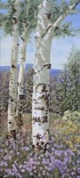 Aspen with Wildflowers Fine Art Print