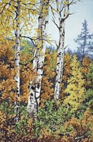 Autumn Ends Fine Art Print